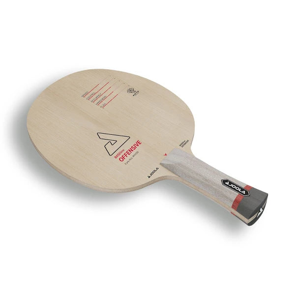 JOOLA Frame BASEline OFF