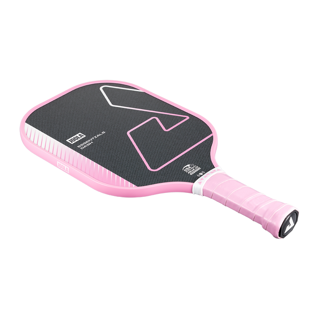 JOOLA Pickleball Racket Essentials Dash