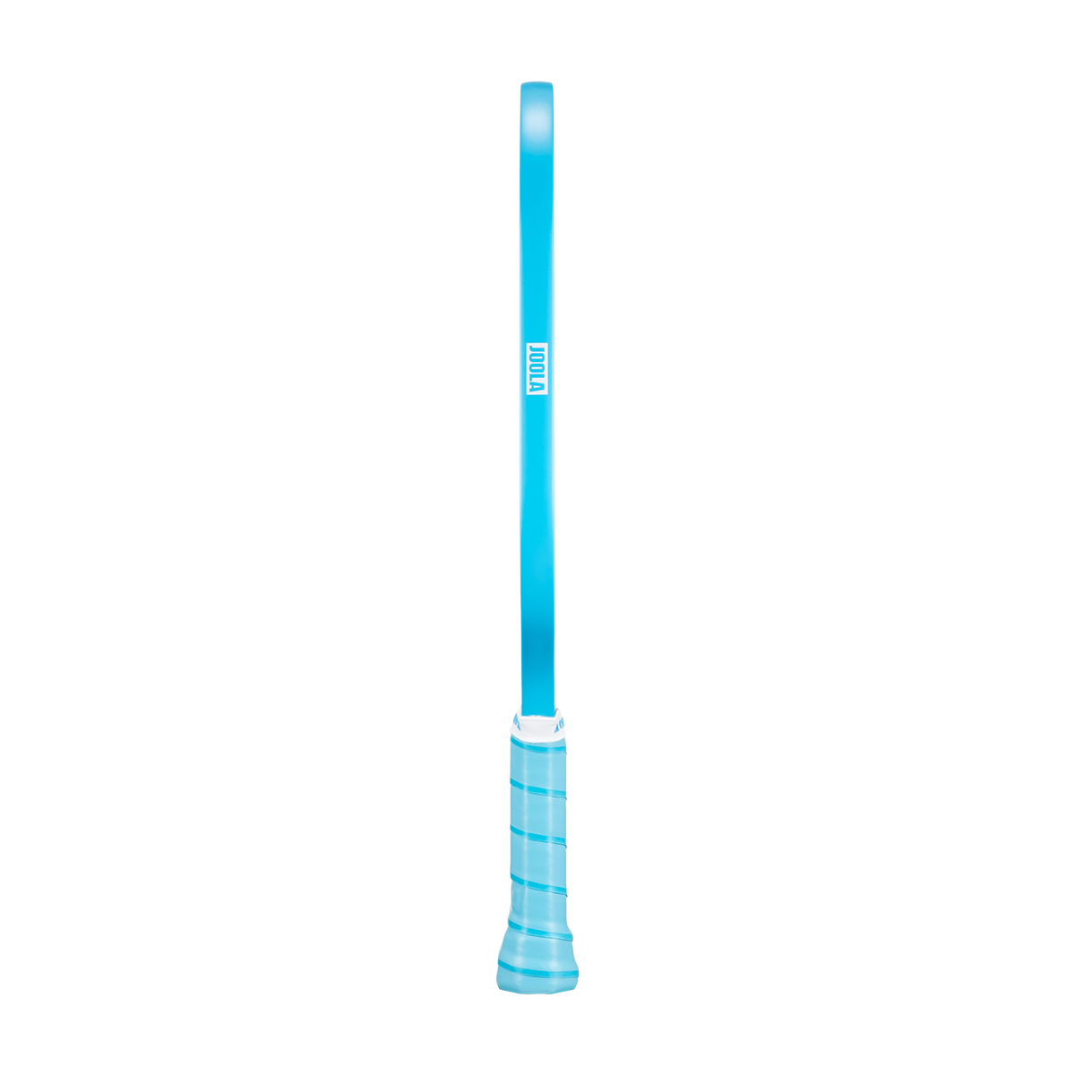 JOOLA Pickleball Racket Essentials Dash